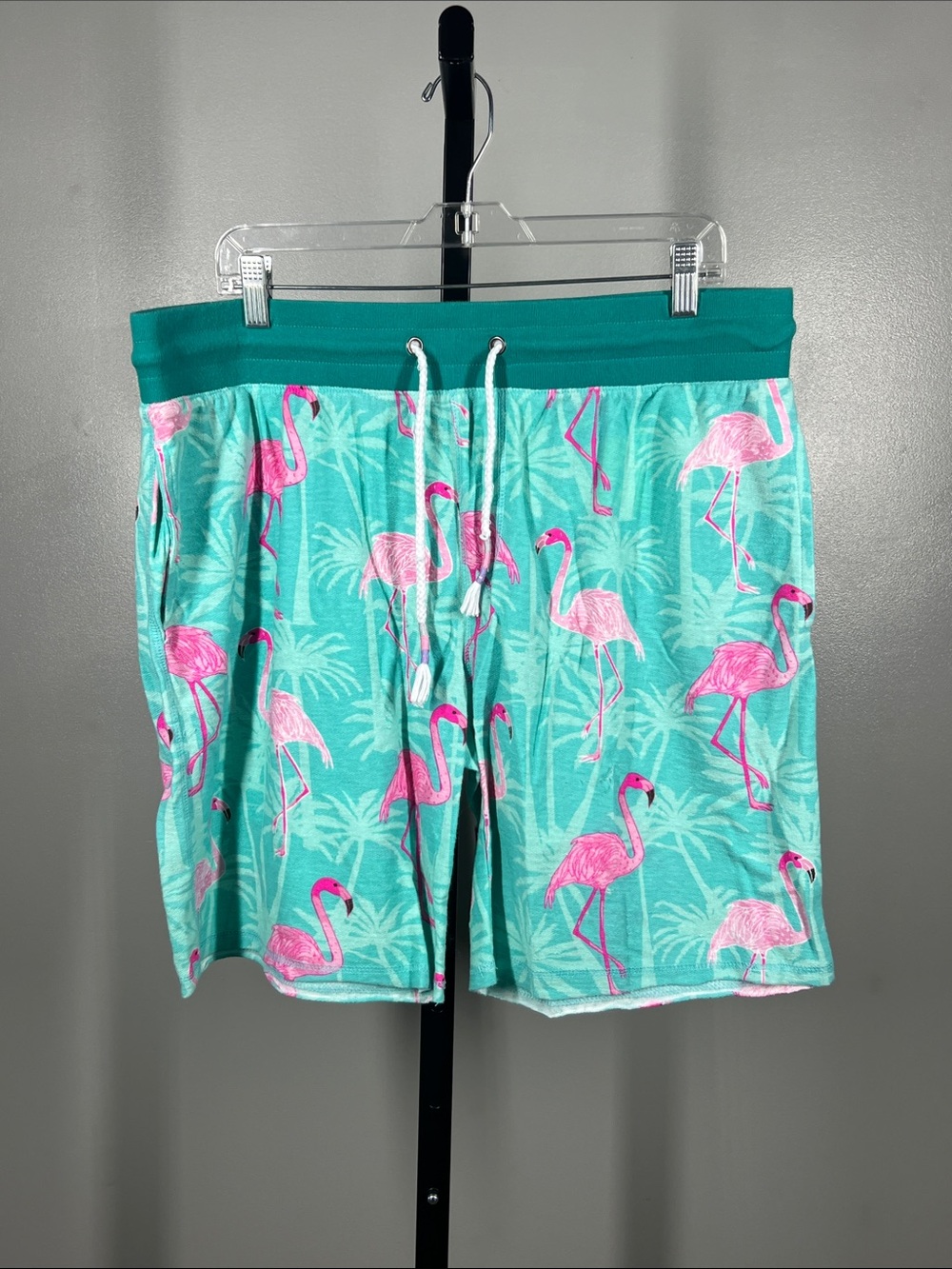 Men's Teal Flamingo Print Swim Shorts